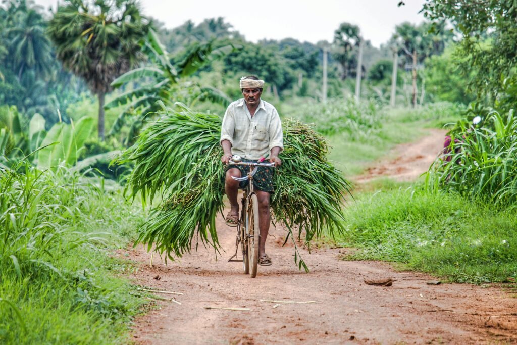 A farmer carries crops on a bicycle down a dirt road surrounded by lush greenery.